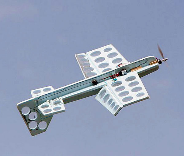 Silent electric-powered 3D aerobatic demonstrations are a big hit.